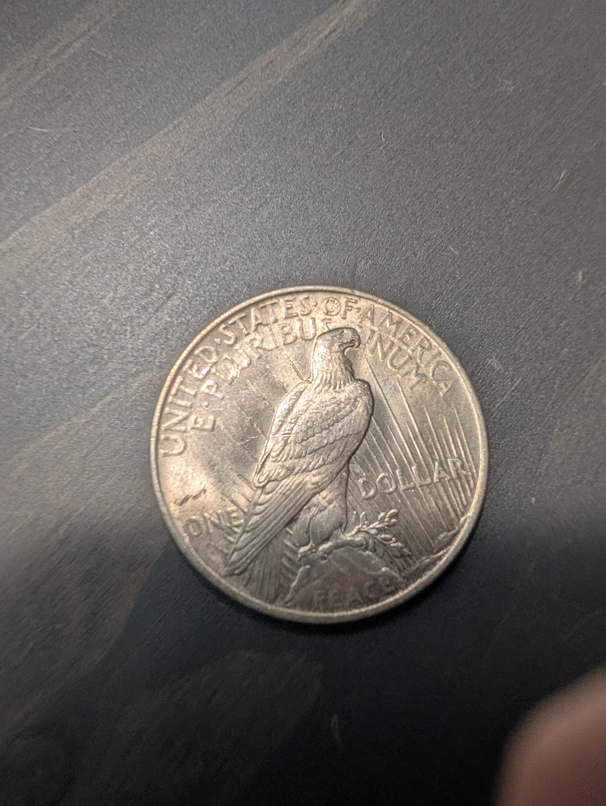 Mint state 1924 peace dollar coin