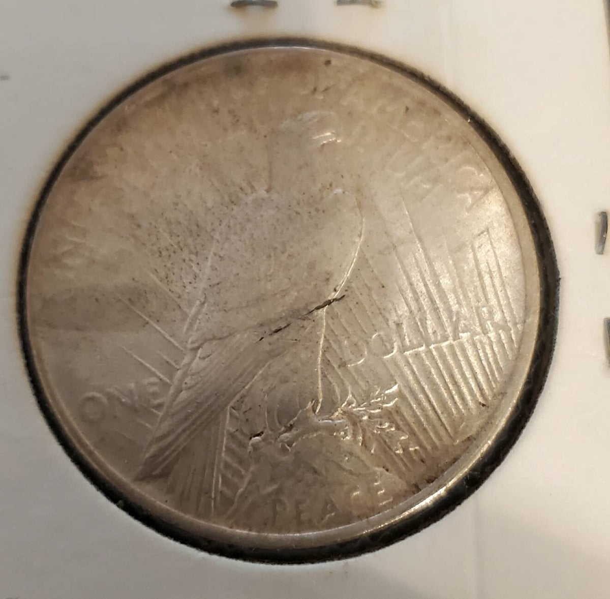 1923 peace dollar large silver collectible coin