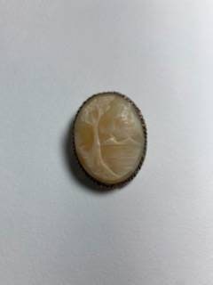 Antique shell cameo attractive tree in wind forest scene real carved charm in gilded metal frame free shipping