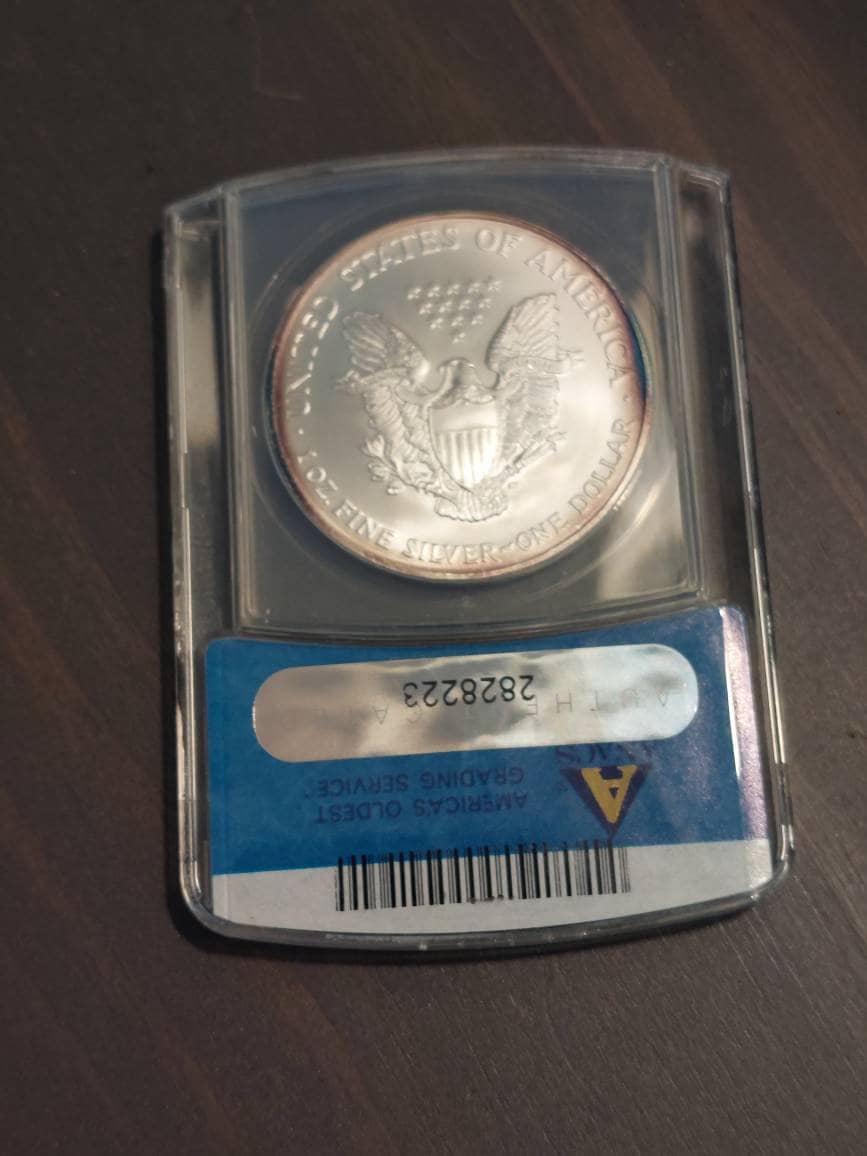 Vintage American silver eagle coin, one ounce silver grades ms69 by anacs with tremendous peripheral toning