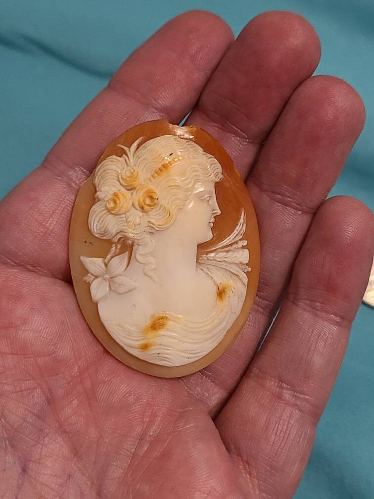 Huge antique Victorian handcarved shell cameo, has some cracking but repurpopasable