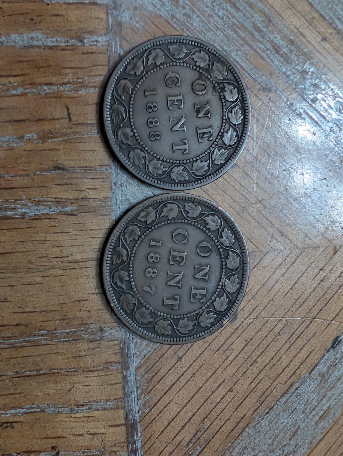 Rare 1887 and 1888 Canada queen Victoria large cents