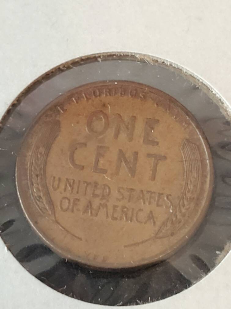 1909 vdb first year wheat cent high grade
