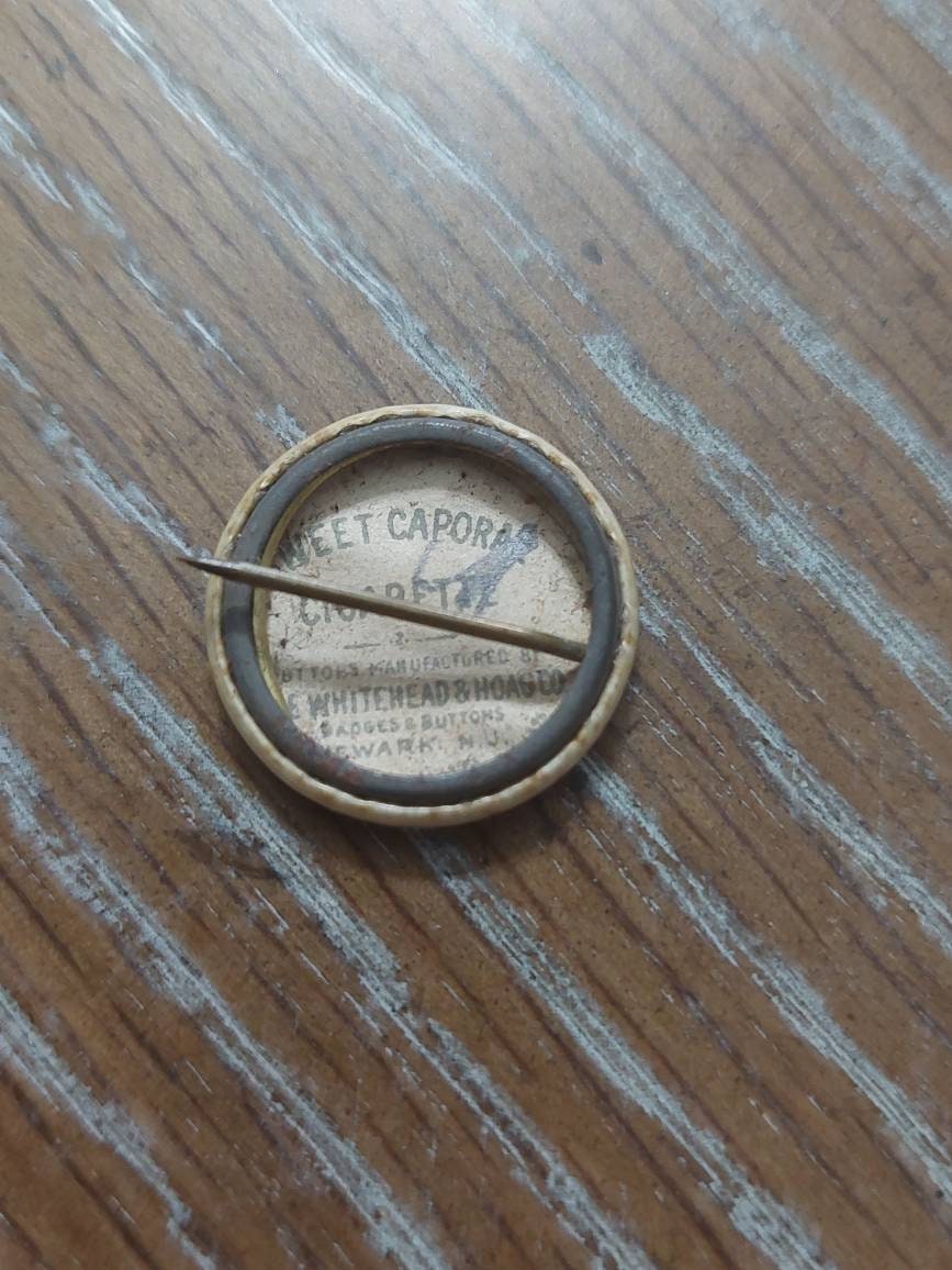 1890s whitehead and Hoag,  cellular pinback, kingdom of Hawaii, antique collectible brooch