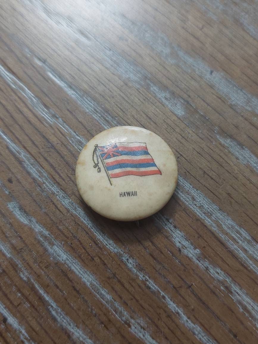 1890s whitehead and Hoag,  cellular pinback, kingdom of Hawaii, antique collectible brooch