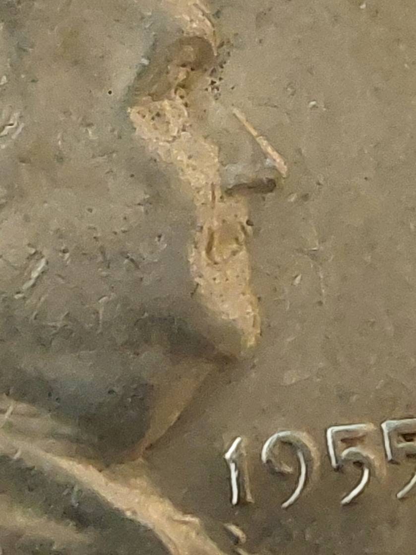 1955 silver Franklin half dollar, key date bugs bunny variety, us coins