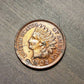 1902 indian head penny,  us collectible coins, high grade almost uncirculated+ details,  gifts for him