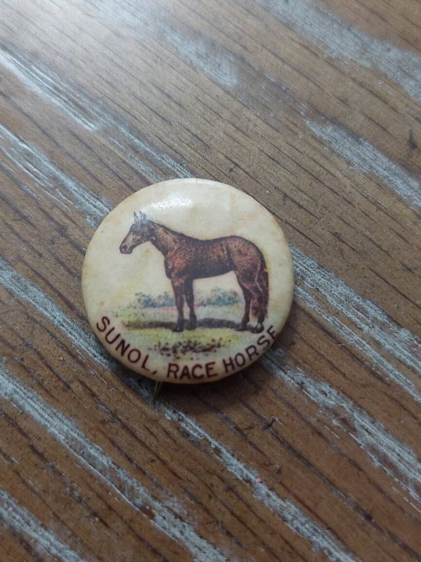 1890s sundol the racehorse, whitehead and Hoag antique pinback