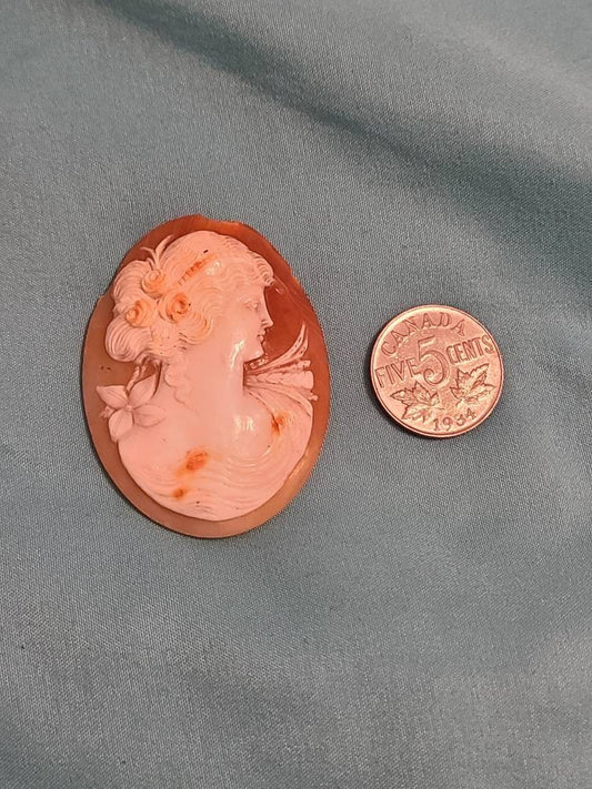 Huge antique Victorian handcarved shell cameo, has some cracking but repurpopasable