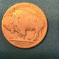 10 buffalo nickel lot, you get ten all readable date buffalo nickel coins from the 1920s and 1930s, some mint marks too. Coin collecting