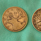 Canadian silver quarters and dime lot, early coins, very nice coins. Includes 1902 large cent and 1987 loonie dollar