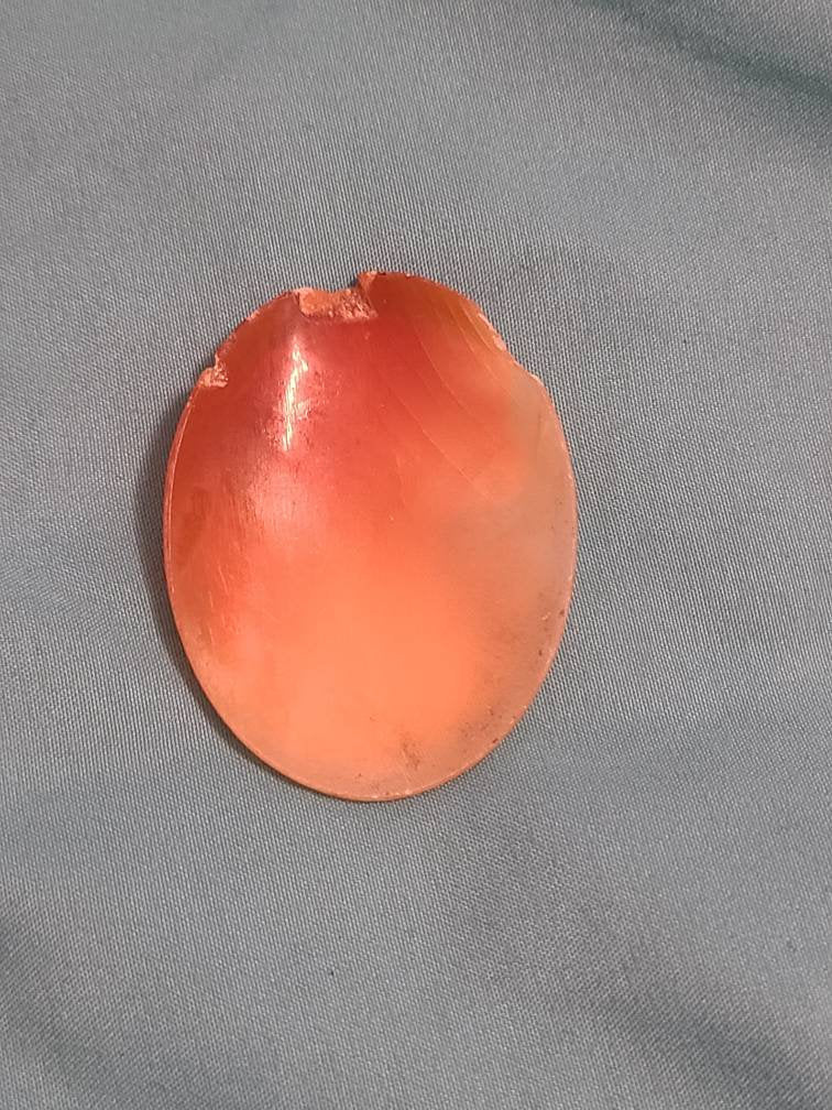Huge antique Victorian handcarved shell cameo, has some cracking but repurpopasable