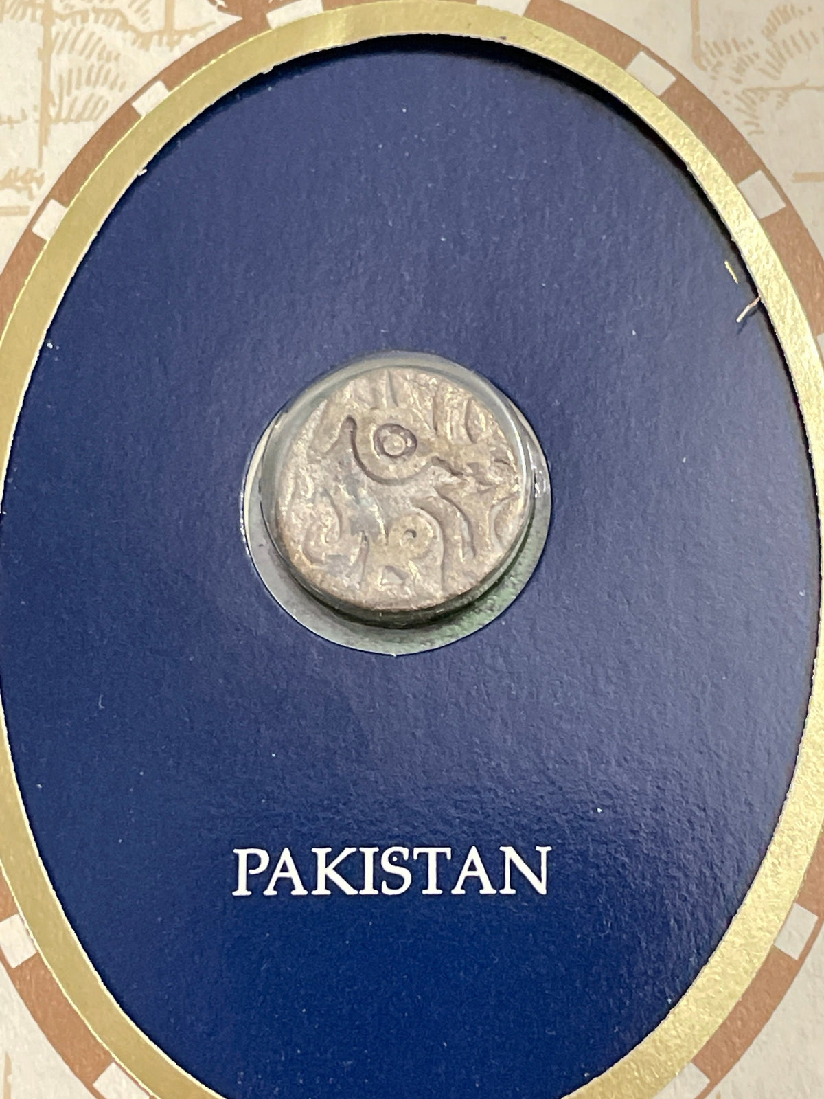 Pakistan shahi