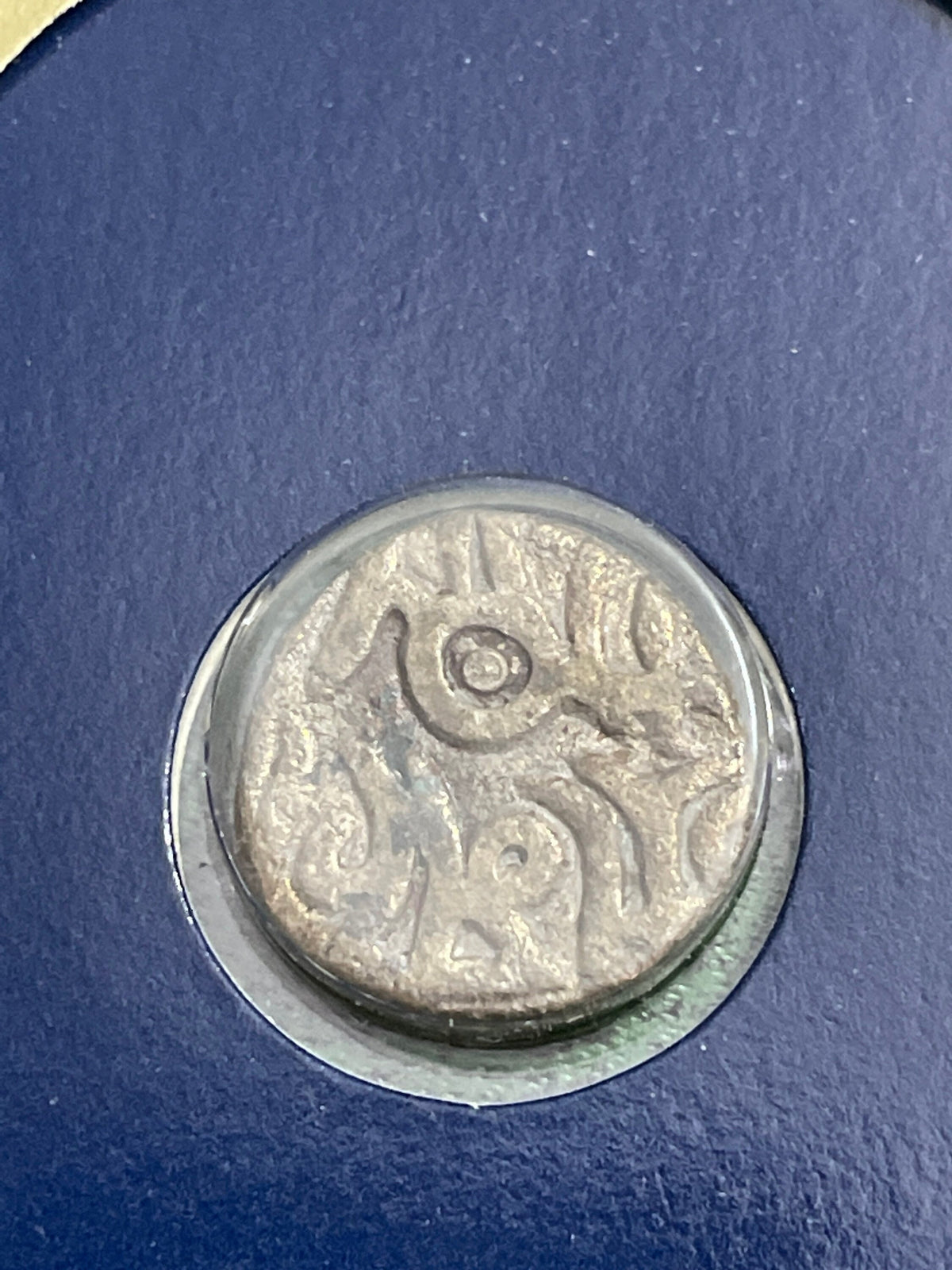 Pakistan shahi
